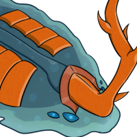 Male Orange Horned Tidewatcher
