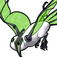 Male Green Glass-Winged Mew
