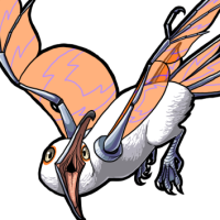 Female Orange Glass-Winged Mew