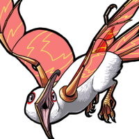 Female Red Glass-Winged Mew