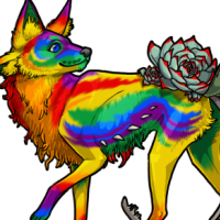 Male Rainbow Painted Kalak